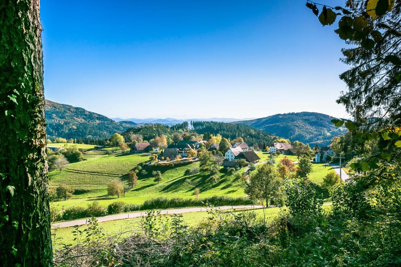 Hotel-Restaurant Sennhuette Im Herzen Des Suedschwarzwalds Kleines Wiesental Екстериор снимка